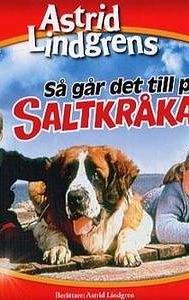 Så går det till på Saltkråkan