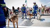 Día Nacional del Binomio Canino… Frida, Proteo y Athos