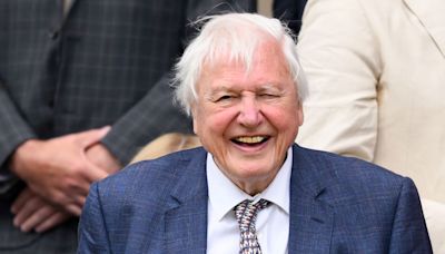 David Attenborough announced for new TV project in career first