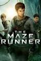 The Maze Runner