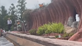Woman leaps from Splash Mountain log mid-ride at Disneyland, video shows. ‘I can’t!’