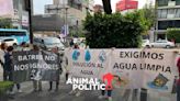 “Gobierno decidió esconder resultados”: vecinos protestan por reserva de información de agua contaminada en BJ
