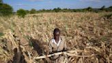 Extreme drought in southern Africa leaves millions hungry