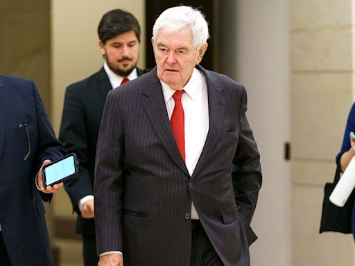 Gingrich: Harris acted like ‘spoiled teenager’ at debate