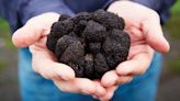 Truffle Prices Are Skyrocketing, Thanks to Climate Change-Driven Shortages
