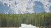 Dos muertos en un presunto ataque de un oso pardo en el Parque Nacional de Banff, en Canadá