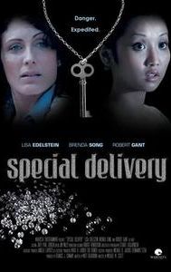 Special Delivery (2008 film)