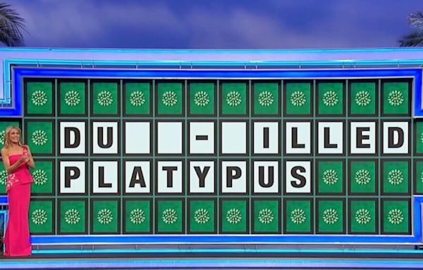 'Wheel of Fortune' Fans Shocked By Contestant's 'Painful' Letter Pick on Easy Puzzle