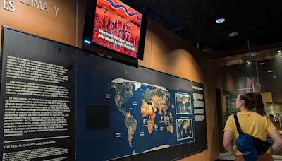 LG equipa con pantallas OLED al Museo Nacional de Antropología