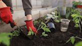 Lower Columbia School Gardens hosts Community Days