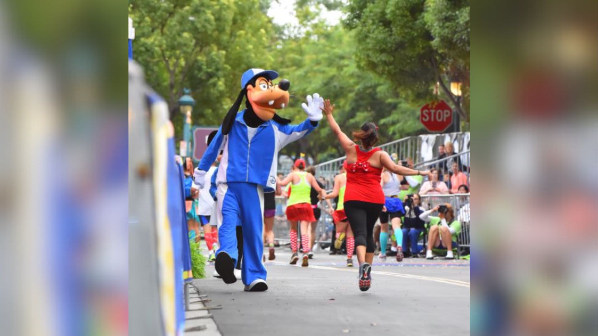 Disneyland Halloween Half Marathon Weekend 2024 underway