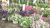 Flower City Days at the Market blooms on Mother's Day