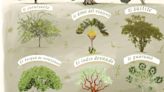 Colección de libros infantiles sobre árboles nativos de Costa Rica declarada de interés cultural