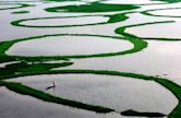 Loktak Lake