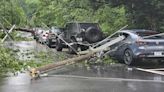 Winston-Salem road closed after tree brings down power lines