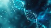 Científicos españoles relacionan unas secuencias móviles del ADN que alteran los genes con el síndrome de Down