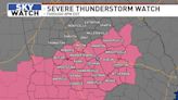 Severe Thunderstorm Watch for Middle Georgia