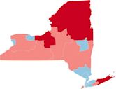 2014 United States House of Representatives elections in New York