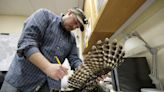 To save spotted owls, US officials plan to kill hundreds of thousands of another owl species