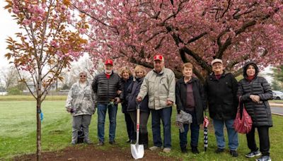 Edison High's first grads honor school with new cherry blossom tree