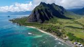 Researcher swims with 30-foot shark as it feeds in Hawaii. See the video