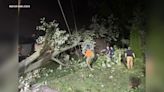 Cleanup underway after storms uproot trees, knock down power lines in Edison