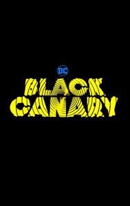 Black Canary | Action, Adventure, Fantasy