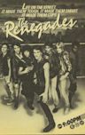 The Renegades (TV series)
