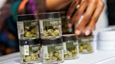 Biden Administration Aims to Reclassify Marijuana as Less Dangerous Drug