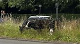 Drivers face delays and police called after cows wander on to major road