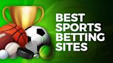 Best Sports Betting Sites - 10 Online Sportsbooks Ranked for 2024