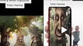 What is the old mystical tree face meme? Where did it come from?