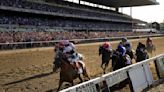 NYRA is spearheading a study on the impacts of various surfaces in horse racing