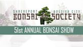 51st Annual Bonsai Show highlights the patient art of bonsai tree sculptures