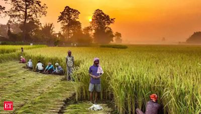 Union budget 2024: Making a case for sustainable agrarian practices and inclusive growth