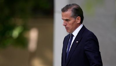 Hunter Biden drops request for new federal gun trial