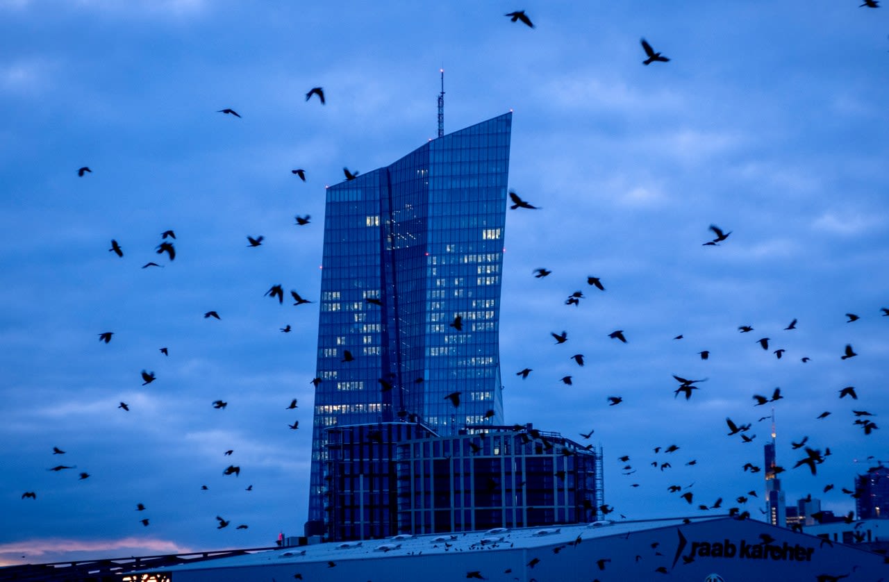 Crows can count in a way similar to toddlers: Study