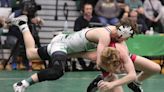 A weight-by-weight look at the OHSAA Division I state wrestling tournament