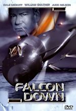 Falcon Down: DVD oder Blu-ray leihen - VIDEOBUSTER.de