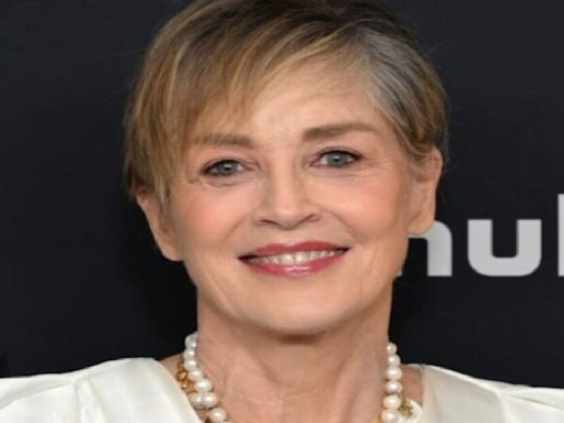 ‘Nobody Did Anything To Me’: Sharon Stone Updates Her Fans Over Getting Black-Eyed In Hotel Room