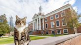 Universidad de Vermont otorga un doctorado honorífico a un gato