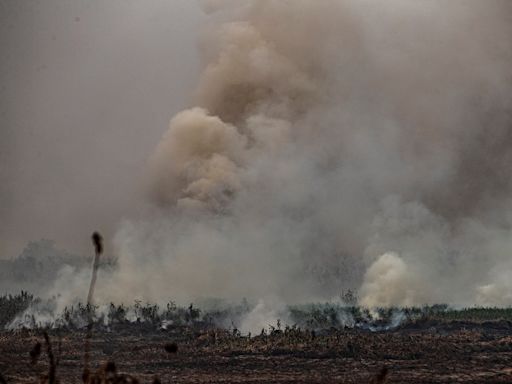 La devastación dejada por los incendios en Brasil en agosto igualó la de los otros 7 meses