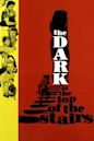 The Dark at the Top of the Stairs (film)