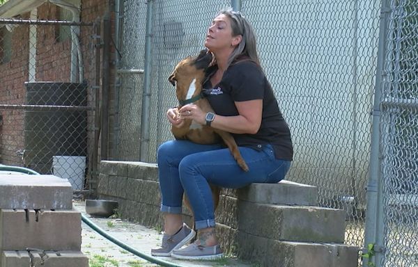 Maple Heights dogs rescued from abusive home ready for adoption