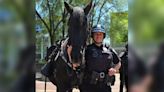 Milwaukee police mounted patrol horse retires, joined unit in 2018