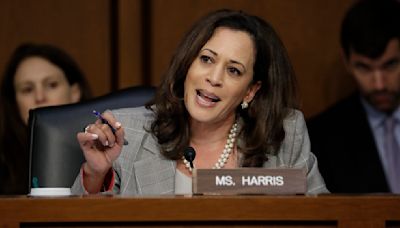 Kamala Harris’ policies: Where does the US presidential candidate stand on regulating big tech and AI?