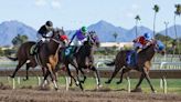 Phoenix racetrack Turf Paradise agrees to pay over $150K after safety violations