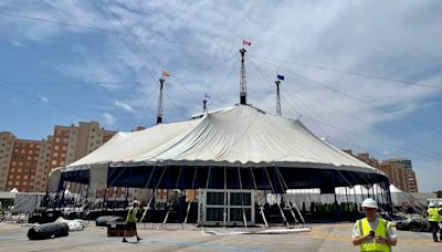 Elche, Hércules, Intercity y Lucentum se citan en el Cirque du Soleil