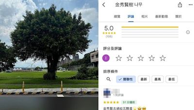 「金秀賢樹」找到了！台北打卡新聖地 百人狂刷5星好評：太強