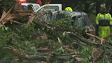 Storms slam parts of Florida, Mississippi and elsewhere as cleanup from earlier tornadoes continues - WSVN 7News | Miami News, Weather, Sports | Fort Lauderdale